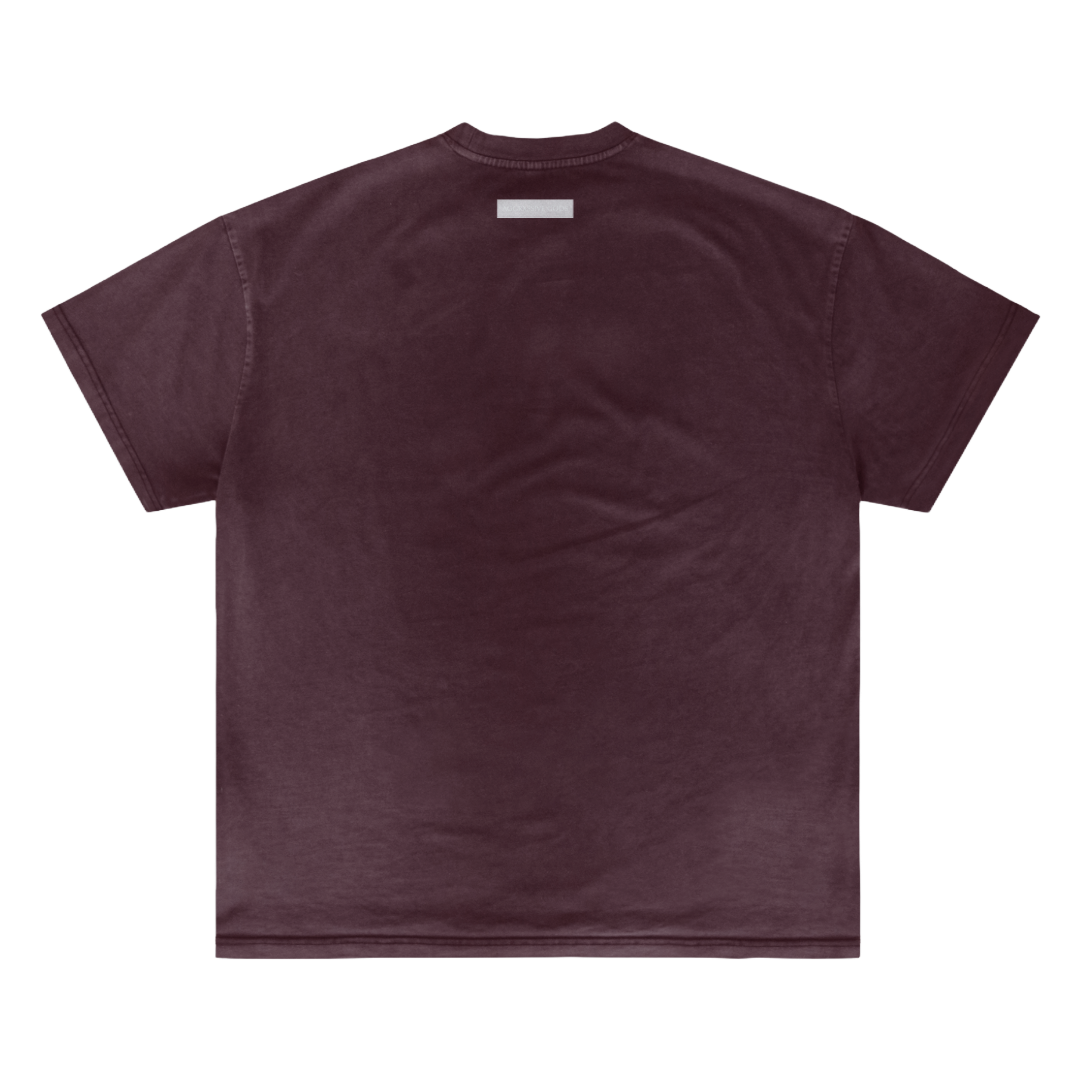 THE BORN IN FLAMES T-SHIRT WASHED