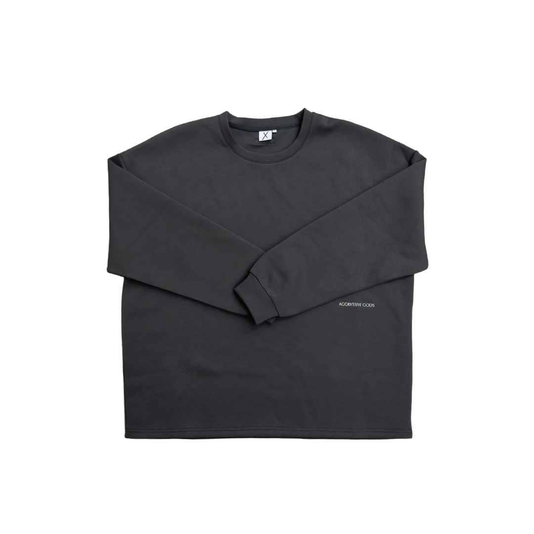 GODS AMONG MORTALS GREY LONG SLEEVE