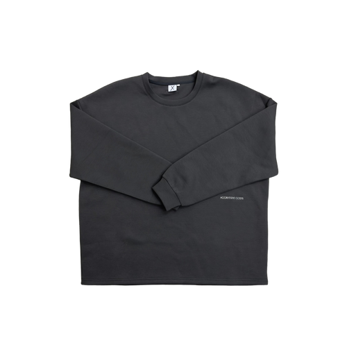 GODS AMONG MORTALS GREY LONG SLEEVE